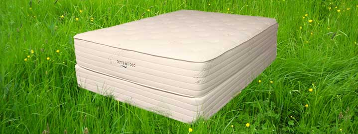 Anise Terra Bed by Klein Organics