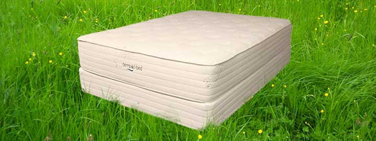 Anise Terra Bed by Klein Organics