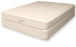 Clove Terra Bed by Klein Organics